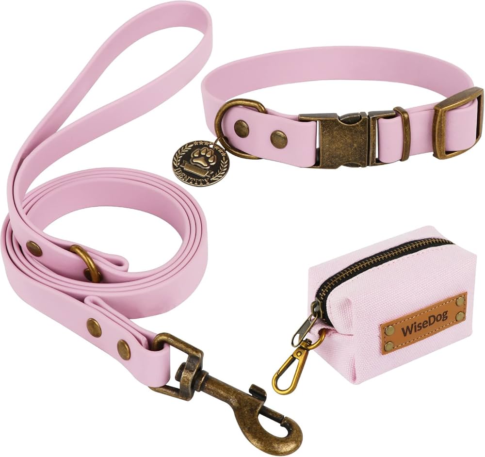 Collars & Leashes