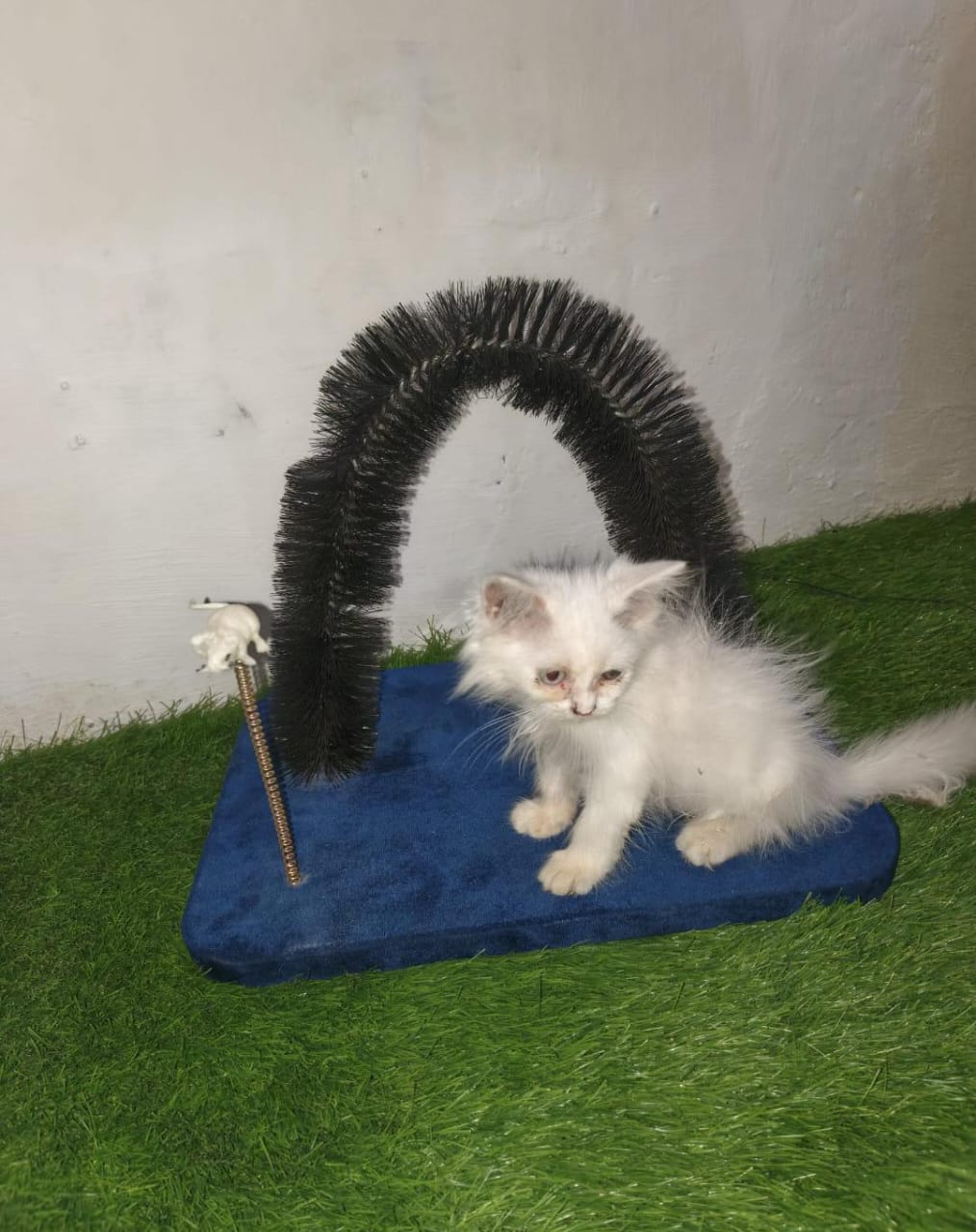 Scratching Arch